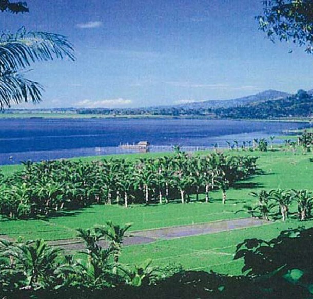 Oceanfront coastline